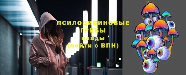индика Алзамай