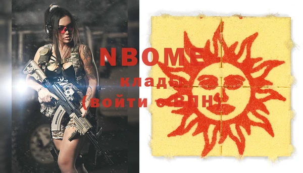 индика Алзамай