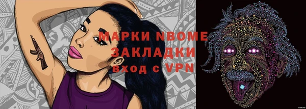 индика Алзамай